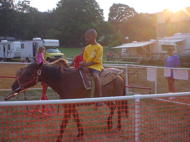 Pony Rides!